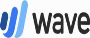 Wave accounting software